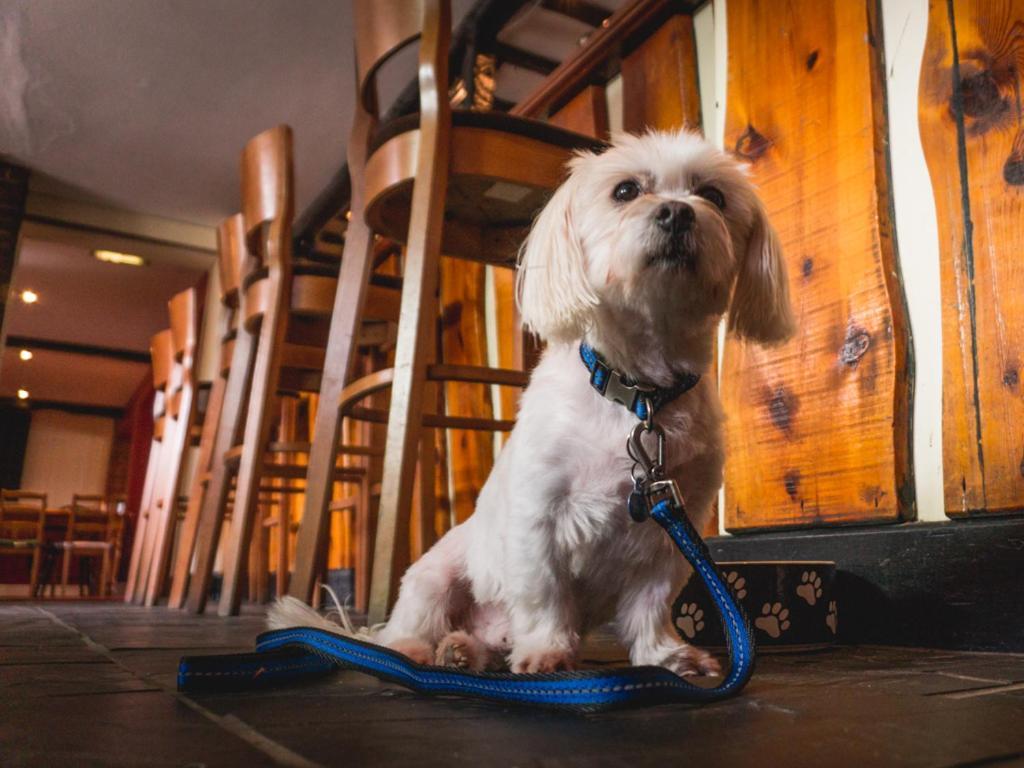 The Shoe Inn Plaitford Екстериор снимка